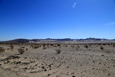 Scenic view of landscape against clear blue sky