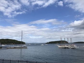 Sailboats sailing in sea against sky