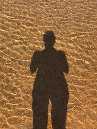 Shadow of man on beach