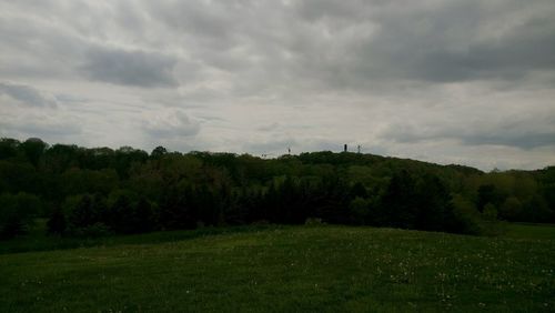 Trees on field against sky