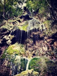 Scenic view of waterfall