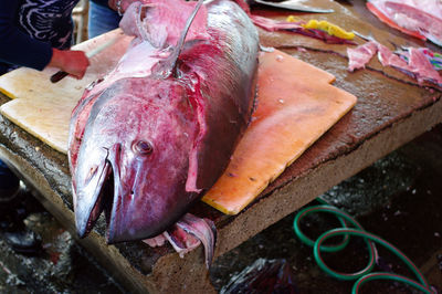 Close-up of fish on cutting board