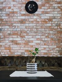 Potted plant on brick wall