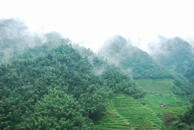 Scenic view of green landscape against sky