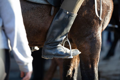 Military boot in stirrup against the horse's belly.