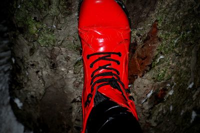 Close-up of red shoes