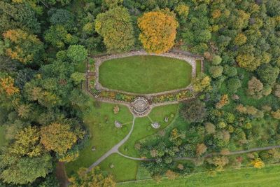 High angle view of tree on field