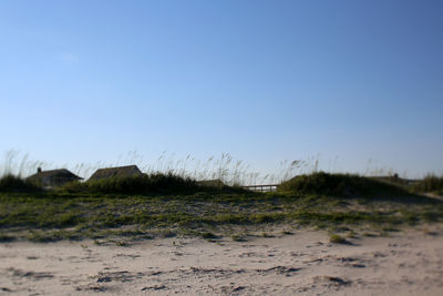 Surface level of land against clear sky