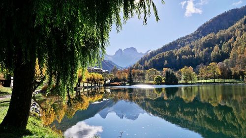 Scenic view of lake by trees against sky