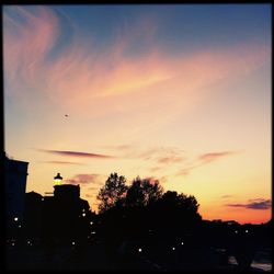 Silhouette of trees at sunset