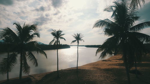 Palm trees by swimming pool against sky during sunset