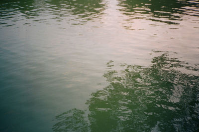 High angle view of lake