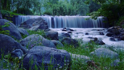 Scenic view of waterfall in forest