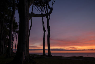 Silhouette trees by sea against sky during sunset