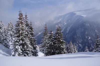 Scenic view of snow covered mountains against sky