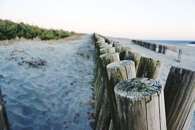 Close-up of wooden posts on beach against clear sky