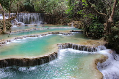 Scenic view of waterfall in forest