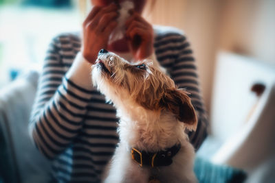 Midsection of woman with dog at home