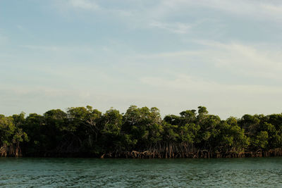 Scenic view of river against sky