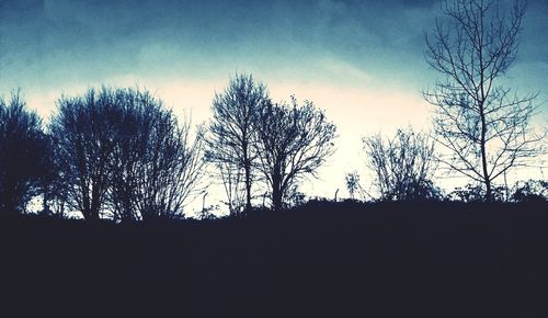 Low angle view of silhouette trees against sky