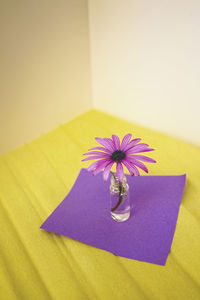 Close-up of flower on table