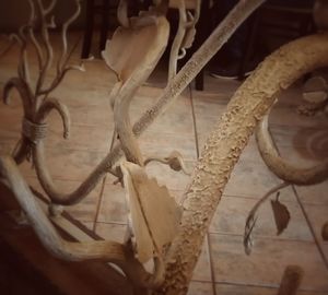 High angle view of ropes on table