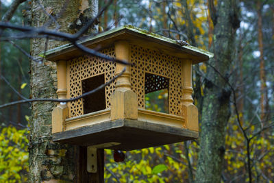 Close-up of bird feeder