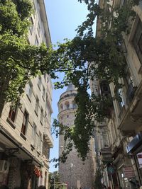 Low angle view of trees and buildings against sky