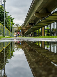 reflection