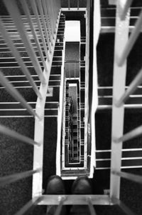 Staircase in building