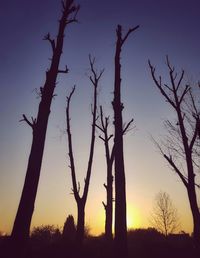 Silhouette bare tree against sky during sunset