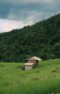 Scenic view of field against sky