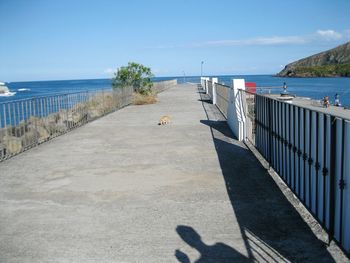 Scenic view of beach against clear sky