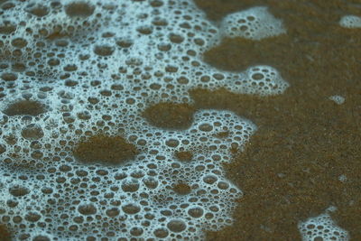 High angle view of bubbles in puddle