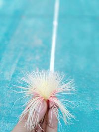 Close-up of hand holding umbrella