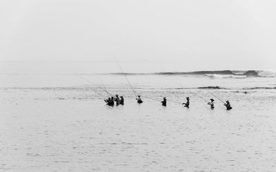 Birds on beach against sky
