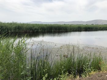 Scenic view of lake against sky