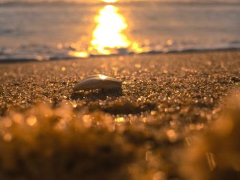 Close-up of beach against sky at sunset