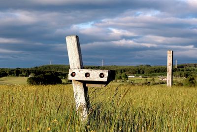 Agricultural field against cloudy sky