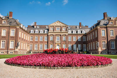 View of flowers in front of building