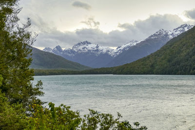 Natural scenery around the fjordland, a geographic region at the south island of new zealand