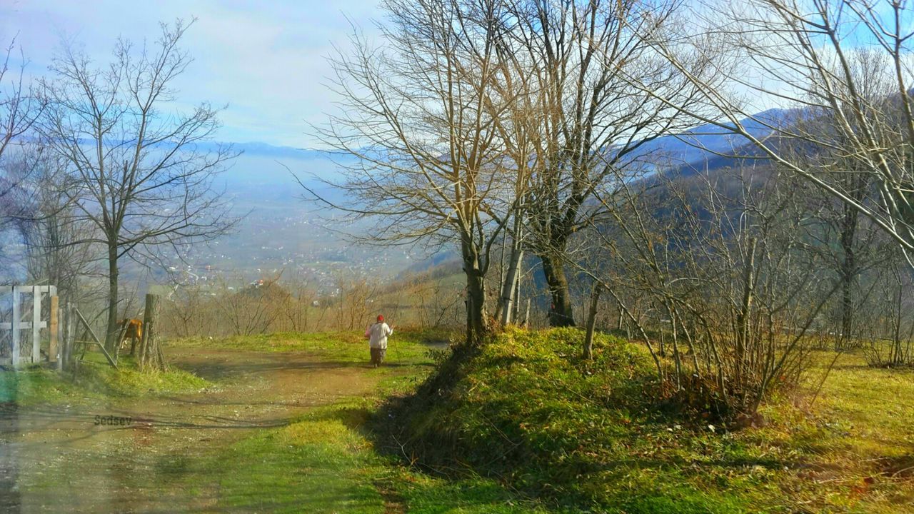 tree, one person, grass, bare tree, nature, day, landscape, tranquility, growth, outdoors, real people, sky, branch, beauty in nature, people