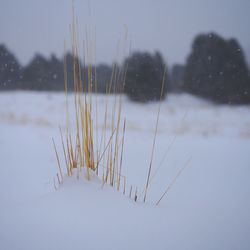 Close-up of frozen lake against sky