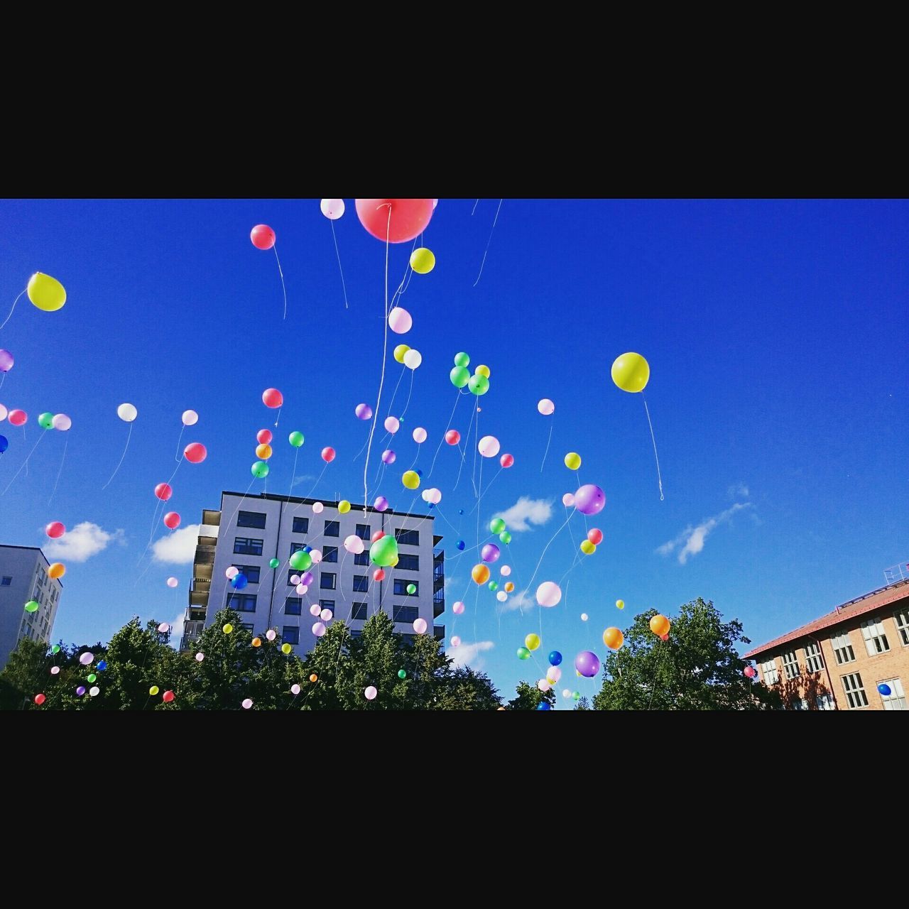 Ballons in the sky