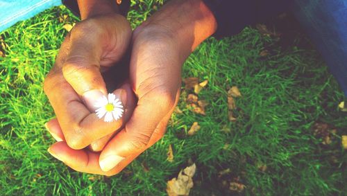 Plants growing on field