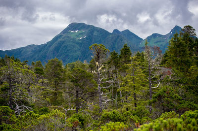 Scenic view of landscape and mountains against sky