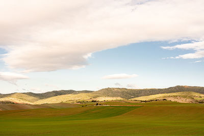 Scenic view of agricultural field against sky