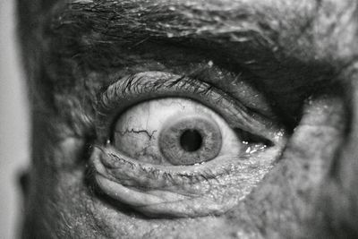 Close-up of human eye