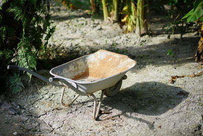 High angle view of bread on rock in yard