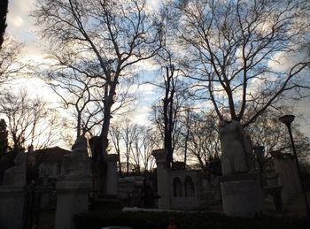 Low angle view of bare trees against sky